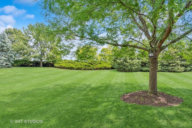 11954 Winterberry Ln, Plainfield, IL 60585 - photo 35