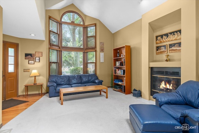 872 Shady Ln, Aurora, IL 60506 - living room featuring a glass covered fireplace and high vaulted ceiling