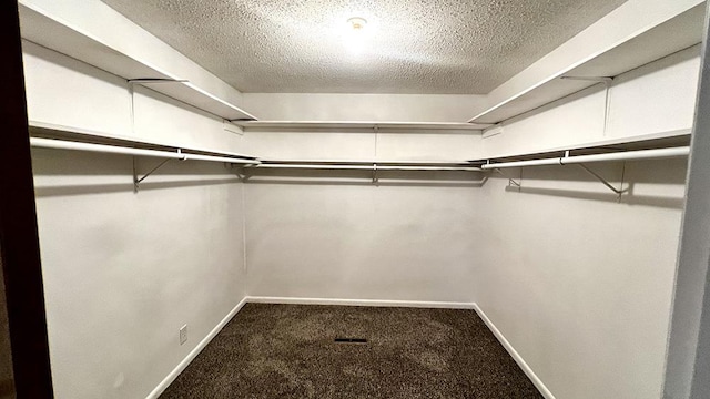 16179 Greenland Dr, Morrison, IL 61270 - spacious closet featuring carpet floors