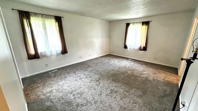 16179 Greenland Dr, Morrison, IL 61270 - unfurnished room with healthy amount of natural light, dark carpet, and a textured ceiling