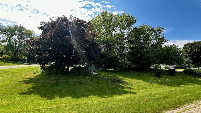 16179 Greenland Dr, Morrison, IL 61270 - view of green lawn