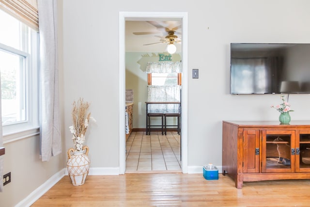 204 N Elroy Ave, Bartlett, IL 60103 - corridor featuring plenty of natural light and light wood-style floors