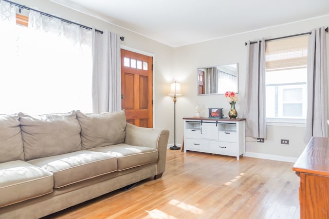 204 N Elroy Ave, Bartlett, IL 60103 - living room featuring light wood finished floors and baseboards