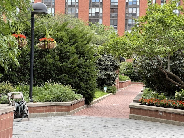 801 S Plymouth Ct Unit 302, Chicago, IL 60605 - photo 4