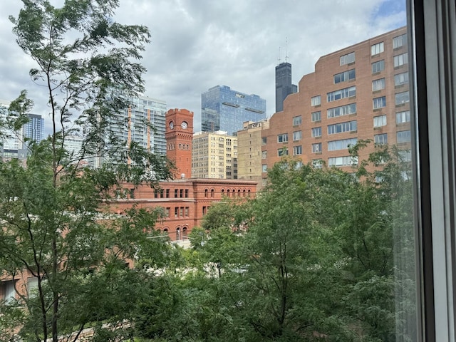 801 S Plymouth Ct Unit 302, Chicago, IL 60605 - photo 10