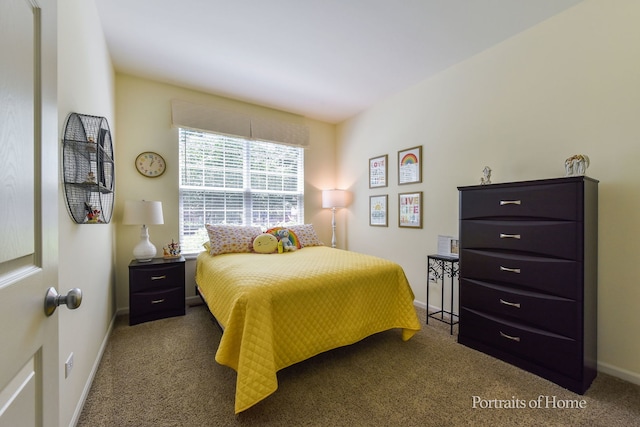 2065 John Paul Jones Ln Unit 2065, Bolingbrook, IL 60490 - bedroom featuring carpet