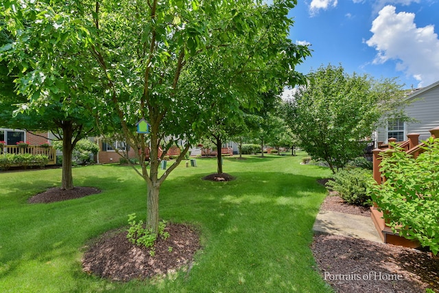 2065 John Paul Jones Ln Unit 2065, Bolingbrook, IL 60490 - view of grassy yard