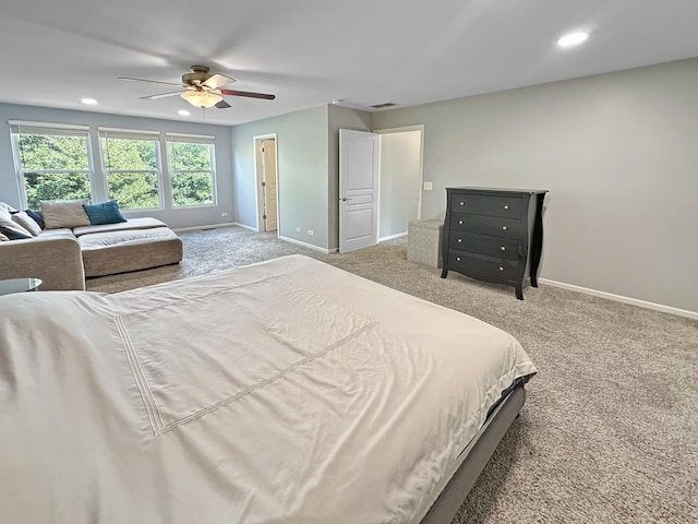 136 Lilac St, Bolingbrook, IL 60490 - photo 19