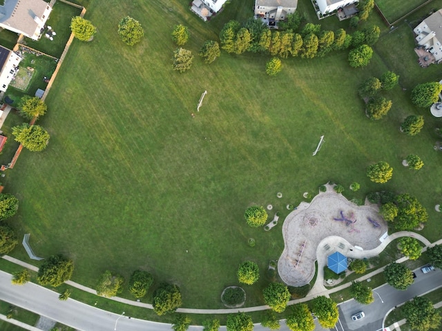 136 Lilac St, Bolingbrook, IL 60490 - photo 49