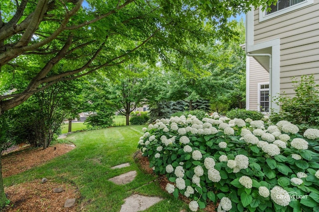 3704 Heathmoor Dr, Elgin, IL 60124 - view of green lawn