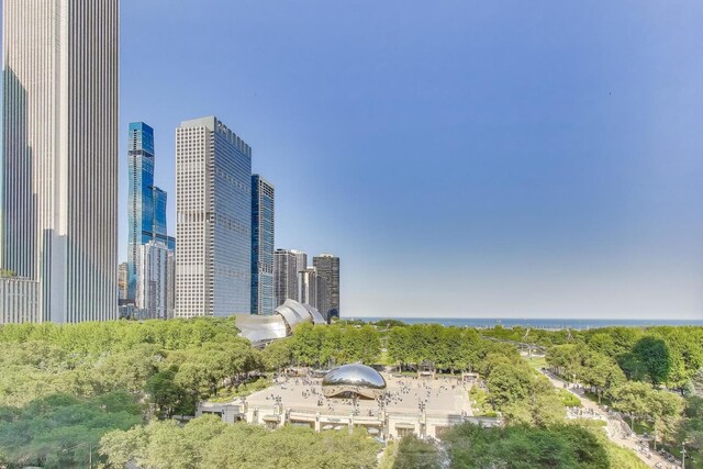 6 N Michigan Ave Unit 801, Chicago, IL 60602 - photo 17