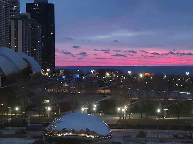 6 N Michigan Ave Unit 801, Chicago, IL 60602 - photo 18