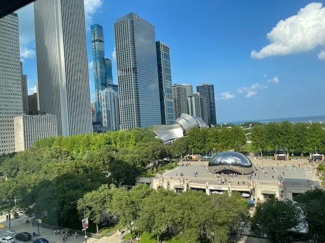 6 N Michigan Ave Unit 801, Chicago, IL 60602 - photo 7