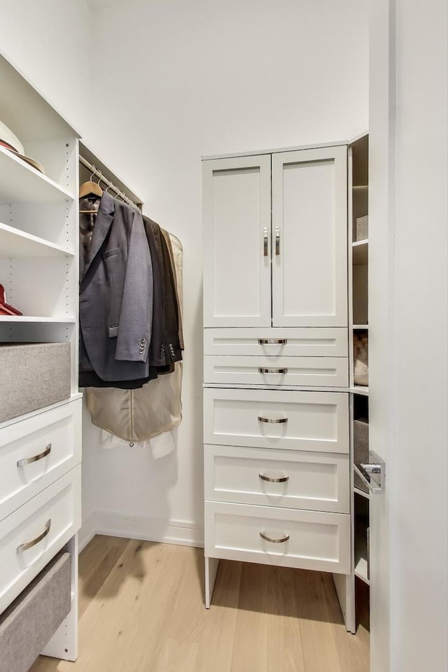 2405 W Iowa St Unit 405, Chicago, IL 60622 - walk in closet with light wood-style flooring