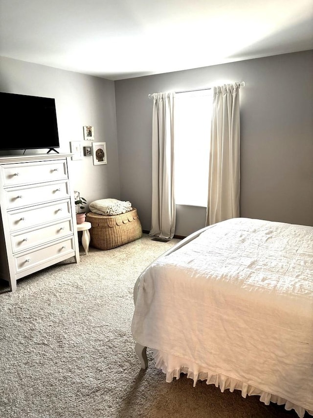 133 Idlewild Ct Unit 8, Schaumburg, IL 60195 - photo 20