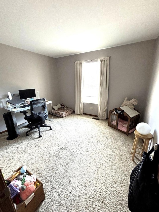 133 Idlewild Ct Unit 8, Schaumburg, IL 60195 - photo 26