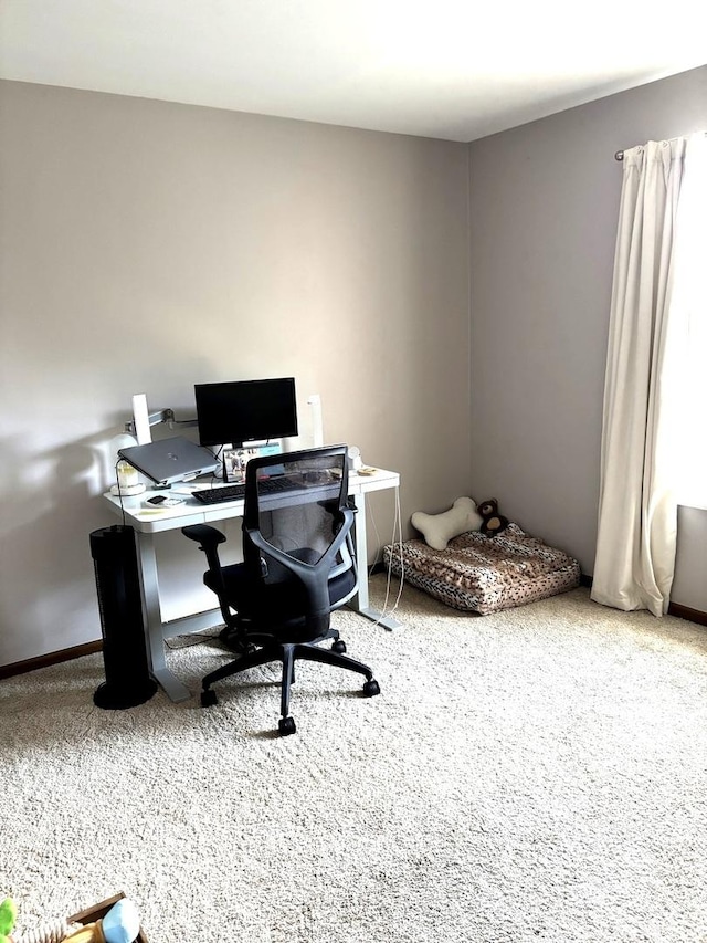 133 Idlewild Ct Unit 8, Schaumburg, IL 60195 - photo 27