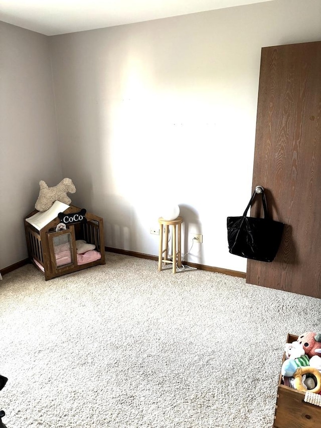 133 Idlewild Ct Unit 8, Schaumburg, IL 60195 - photo 28