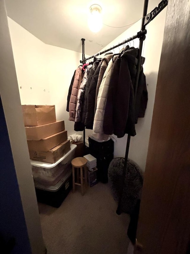 133 Idlewild Ct Unit 8, Schaumburg, IL 60195 - photo 29
