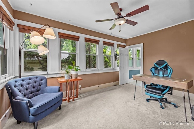 956 S St, Elgin, IL 60123 - photo 26