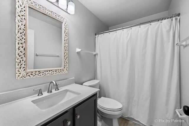 1521 E Baronet Ln, Palatine, IL 60074 - bathroom with vanity, wood finished floors, and a shower with curtain