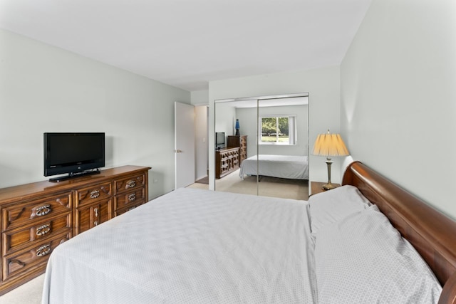 2319 E Olive St Unit 1D, Arlington Heights, IL 60004 - bedroom featuring a closet and light colored carpet