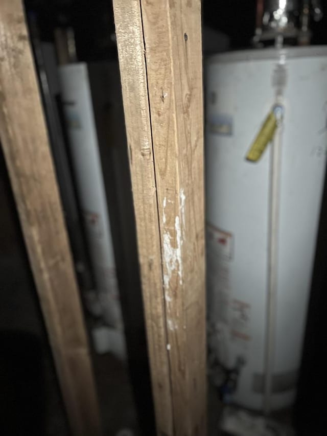 8005 S Blackstone Ave, Chicago, IL 60619 - detailed view of gas water heater