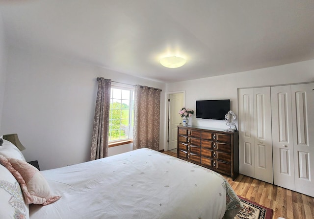 72 Wilton Ln, Mundelein, IL 60060 - bedroom with wood finished floors and a closet