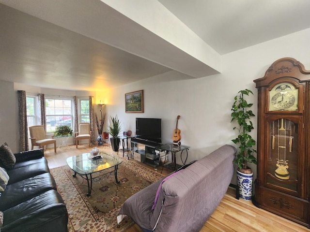 72 Wilton Ln, Mundelein, IL 60060 - living area with light wood-type flooring