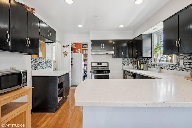 3012 N Nottingham Ave, Chicago, IL 60634 - kitchen with dark cabinets, appliances with stainless steel finishes, under cabinet range hood, backsplash, and light wood finished floors
