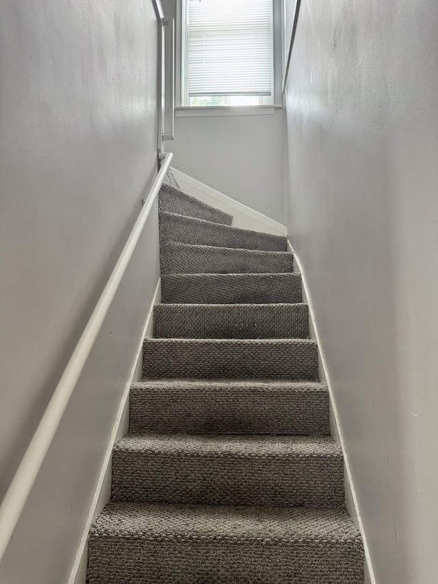 118 Wilcox Ave, Elgin, IL 60123 - stairway featuring carpet floors