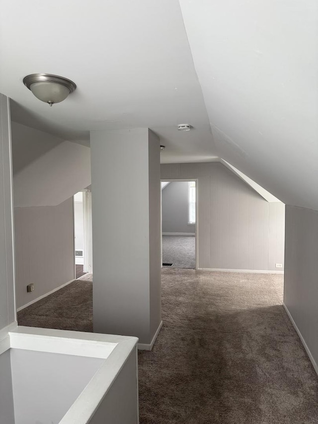 118 Wilcox Ave, Elgin, IL 60123 - additional living space with lofted ceiling and carpet