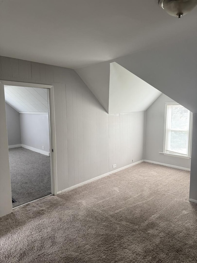 118 Wilcox Ave, Elgin, IL 60123 - additional living space featuring carpet floors and lofted ceiling