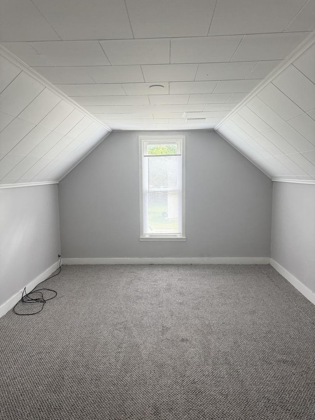 118 Wilcox Ave, Elgin, IL 60123 - bonus room with carpet and vaulted ceiling
