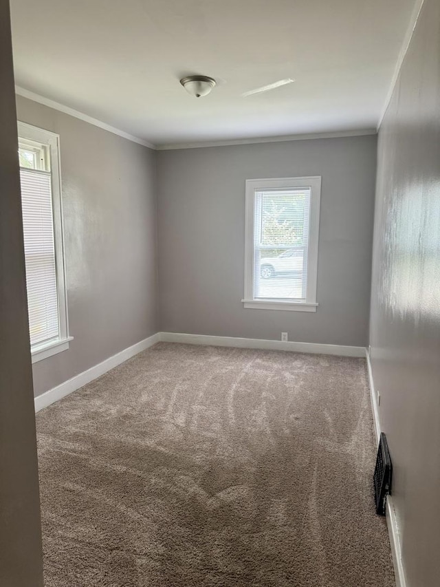118 Wilcox Ave, Elgin, IL 60123 - carpeted spare room featuring crown molding