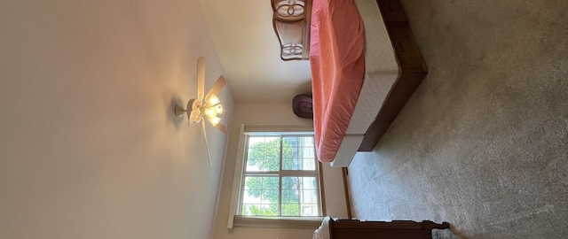 967 Brown Dr, Momence, IL 60954 - photo 18