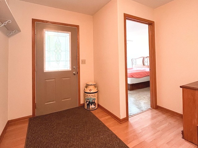 967 Brown Dr, Momence, IL 60954 - entrance foyer featuring light wood-style flooring and baseboards
