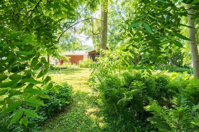14 Grandview Dr, Normal, IL 61761 - view of grassy yard