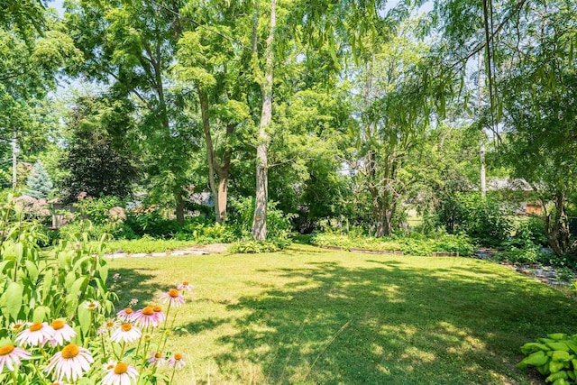 14 Grandview Dr, Normal, IL 61761 - view of grassy yard