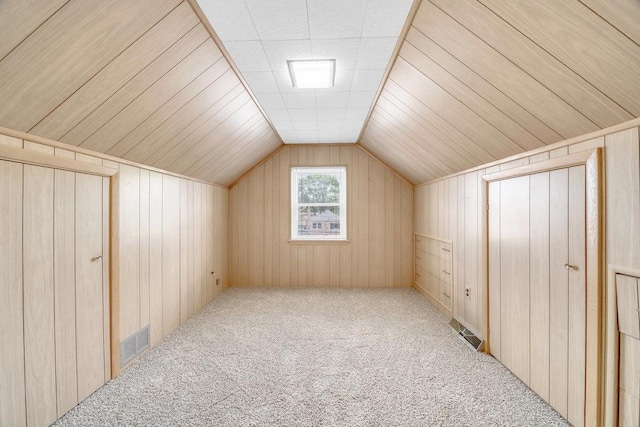 10817 S Kenneth Ave, Oak Lawn, IL 60453 - additional living space featuring carpet floors, wood walls, and vaulted ceiling