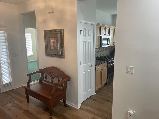 21024 W Walnut Ln, Plainfield, IL 60544 - corridor featuring dark wood finished floors