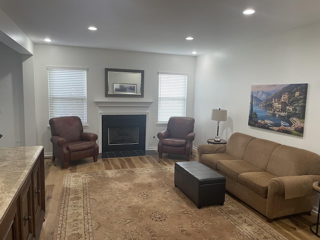 21024 W Walnut Ln, Plainfield, IL 60544 - living room with wood finished floors, a fireplace with flush hearth, and recessed lighting