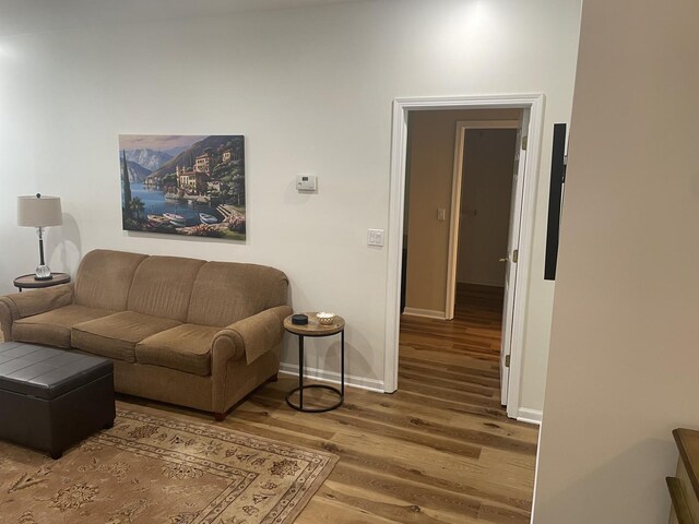 21024 W Walnut Ln, Plainfield, IL 60544 - living area with wood finished floors and baseboards