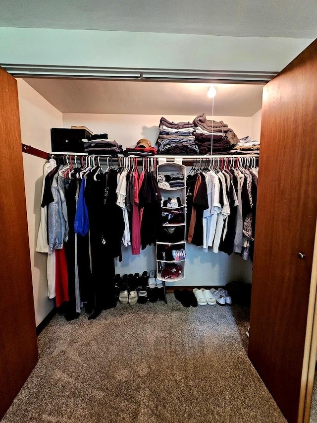 129 S Commonwealth Ave, Elgin, IL 60123 - view of closet