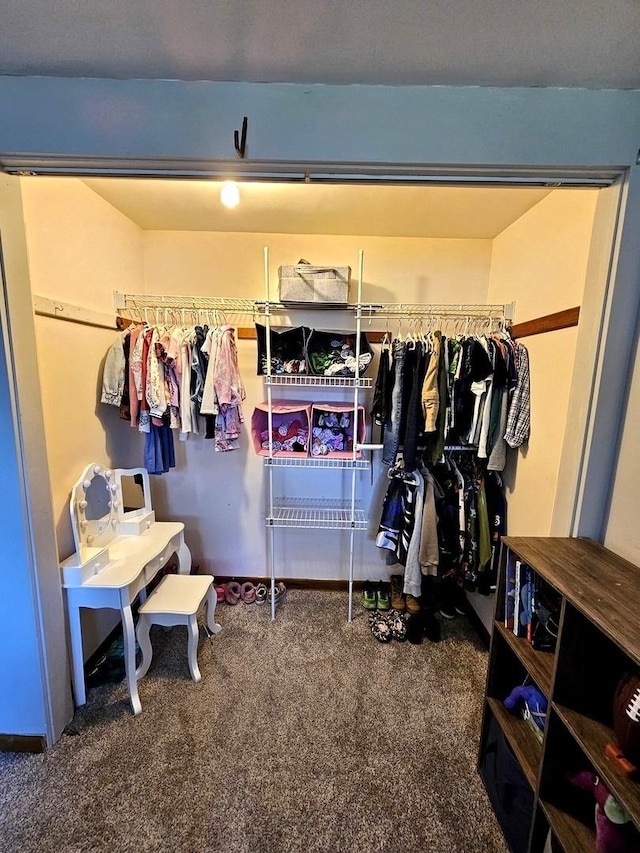 129 S Commonwealth Ave, Elgin, IL 60123 - spacious closet featuring carpet flooring