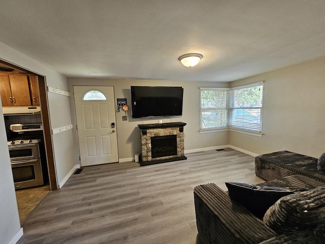 129 S Commonwealth Ave, Elgin, IL 60123 - living room featuring a stone fireplace and wood finished floors