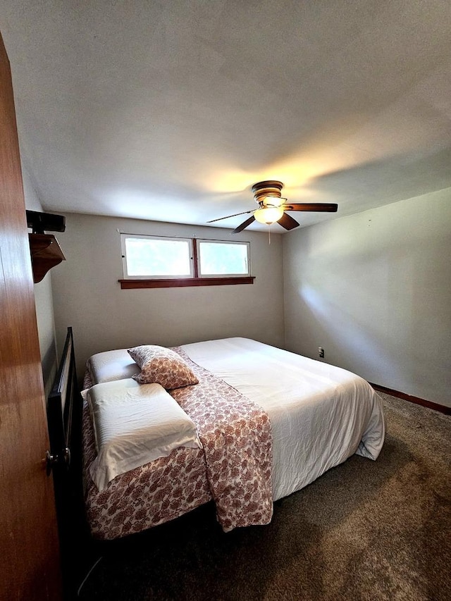 129 S Commonwealth Ave, Elgin, IL 60123 - carpeted bedroom with ceiling fan