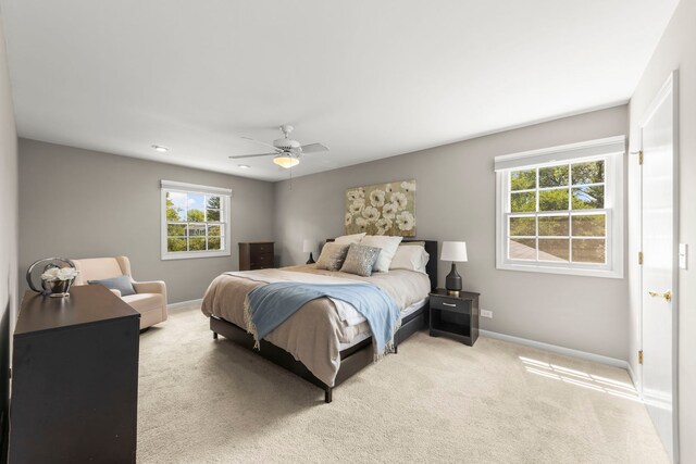 1425 Brush Hill Cir, Naperville, IL 60540 - photo 13