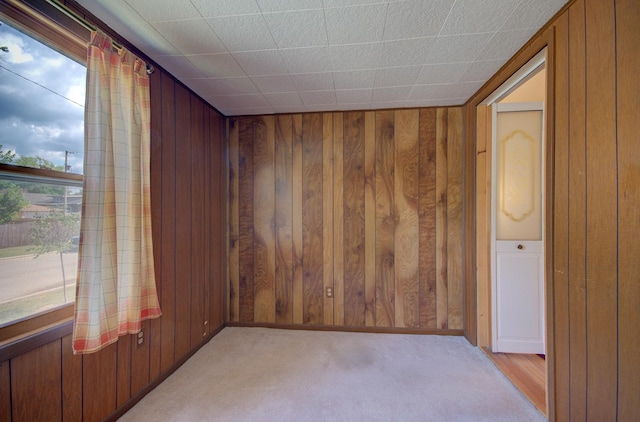 900 Mason Ave, Joliet, IL 60435 - unfurnished room with wood walls and light carpet