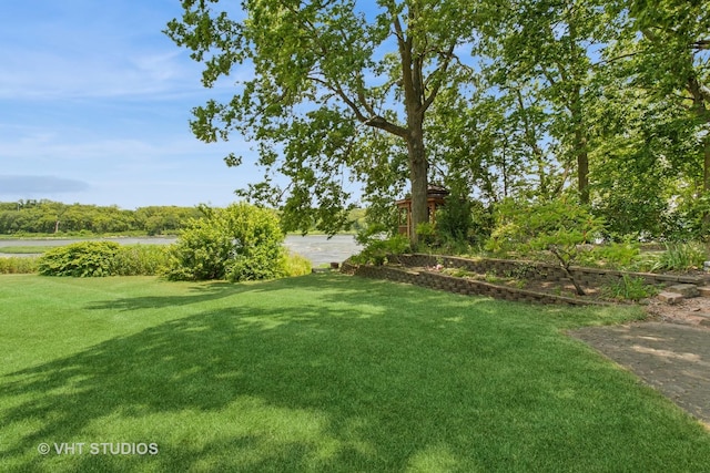29625 N Readman Ln, Wilmington, IL 60481 - view of green lawn